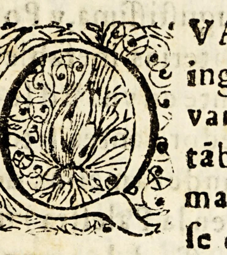 An illustration from Signo eucharistico, predicado, en la festiva pompa, y celebridad annual, que acostumbra hazer el Convento Imperial de Predicadores al SSmo sacramento, en concurrencia de el sagrado precursor San Juan Baptista. : Con assistencia de el Exmo señor conde de Paredes, marquès de la laguna, virrey de esta Nueva-España, &c. y desta nobilissima ciudad de Mexico., 1685, leaf 9