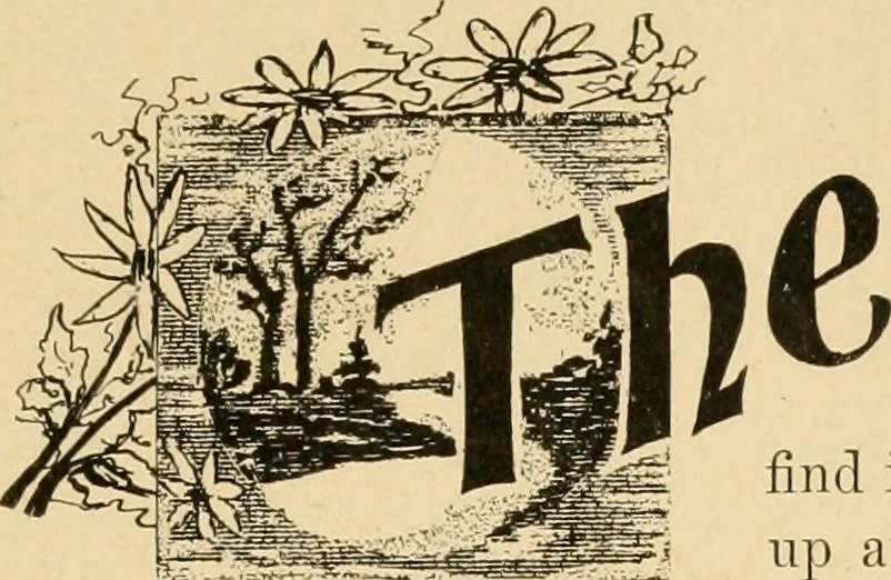 An illustration from Sign and show card writing, 1899, leaf 20