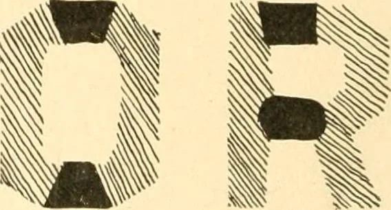 An illustration from Sign and show card writing, 1899, leaf 63