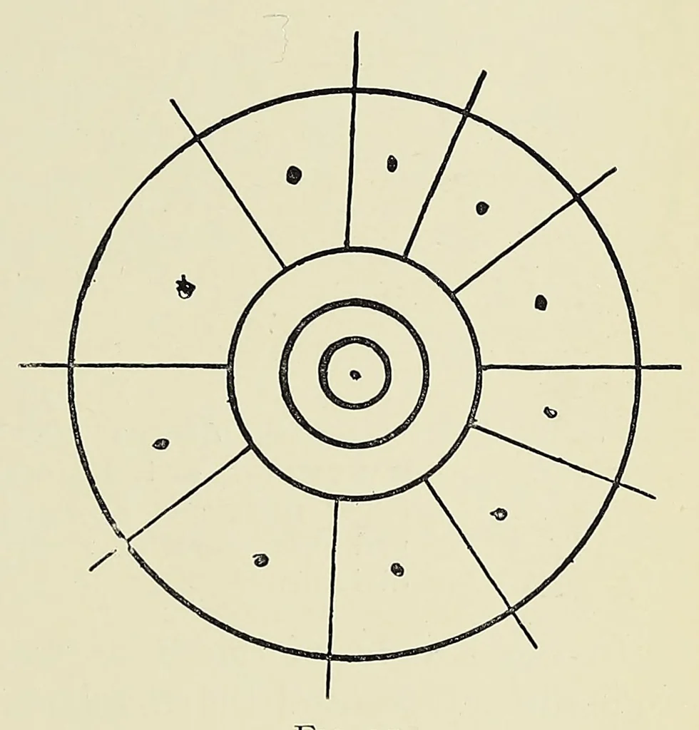 An illustration from The signs and symbols of primordial man; being an explanation of the evolution of religious doctrines from the eschatology of the ancient Egyptians, 1910, leaf 229