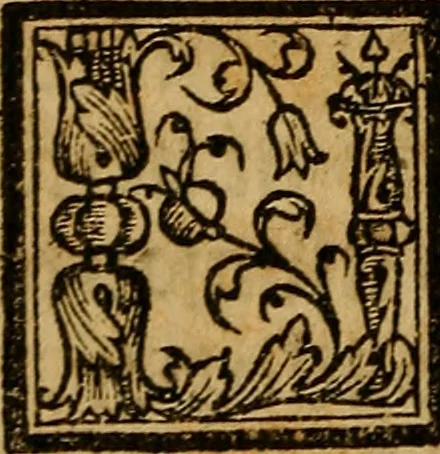An illustration from Siguense dos coloquios de amores y otro de bie auenturança en el qual se trata en que cõsiste la bienaue turaça desta vida nueuamente compuestos, 1536, leaf 11