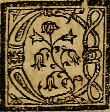 An illustration from Siguense dos coloquios de amores y otro de bie auenturança en el qual se trata en que cõsiste la bienaue turaça desta vida nueuamente compuestos, 1536, leaf 15