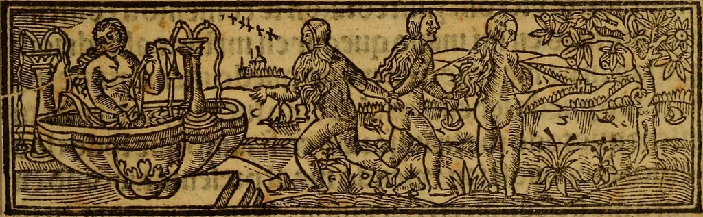 An illustration from Siguense dos coloquios de amores y otro de bie auenturança en el qual se trata en que cõsiste la bienaue turaça desta vida nueuamente compuestos, 1536, leaf 6