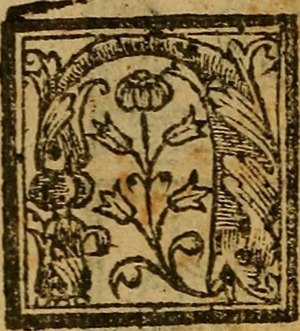 An illustration from Siguense dos coloquios de amores y otro de bie auenturança en el qual se trata en que cõsiste la bienaue turaça desta vida nueuamente compuestos, 1536, leaf 7