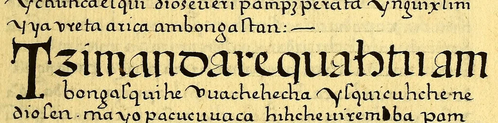 An illustration from Siguense unos breves sermones en la lengua de michuacan para cada domingo del ano fundados sobre un thema aunque por diversas materias,, 1559, leaf 229