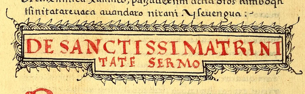An illustration from Siguense unos breves sermones en la lengua de michuacan para cada domingo del ano fundados sobre un thema aunque por diversas materias,, 1559, leaf 336