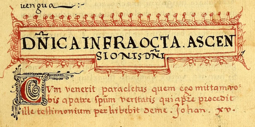 An illustration from Siguense unos breves sermones en la lengua de michuacan para cada domingo del ano fundados sobre un thema aunque por diversas materias,, 1559, leaf 359