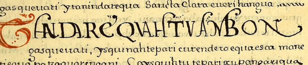 An illustration from Siguense unos breves sermones en la lengua de michuacan para cada domingo del ano fundados sobre un thema aunque por diversas materias,, 1559, leaf 233