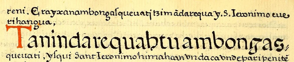 An illustration from Siguense unos breves sermones en la lengua de michuacan para cada domingo del ano fundados sobre un thema aunque por diversas materias,, 1559, leaf 314