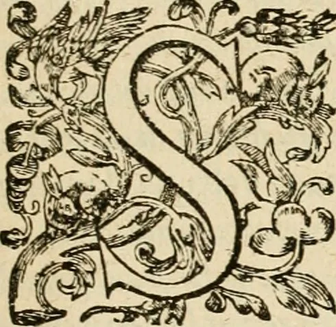 An illustration from Silenus Alcibiadis, sive, Proteus : vitae humanae ideam, emblemate trifariàm variato, oculis subijciens, 1618, leaf 10