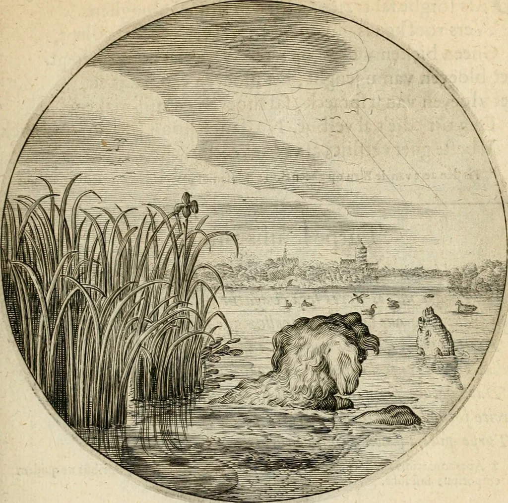 An illustration from Silenus Alcibiadis, sive, Proteus : vitae humanae ideam, emblemate trifariàm variato, oculis subijciens, 1618, leaf 108