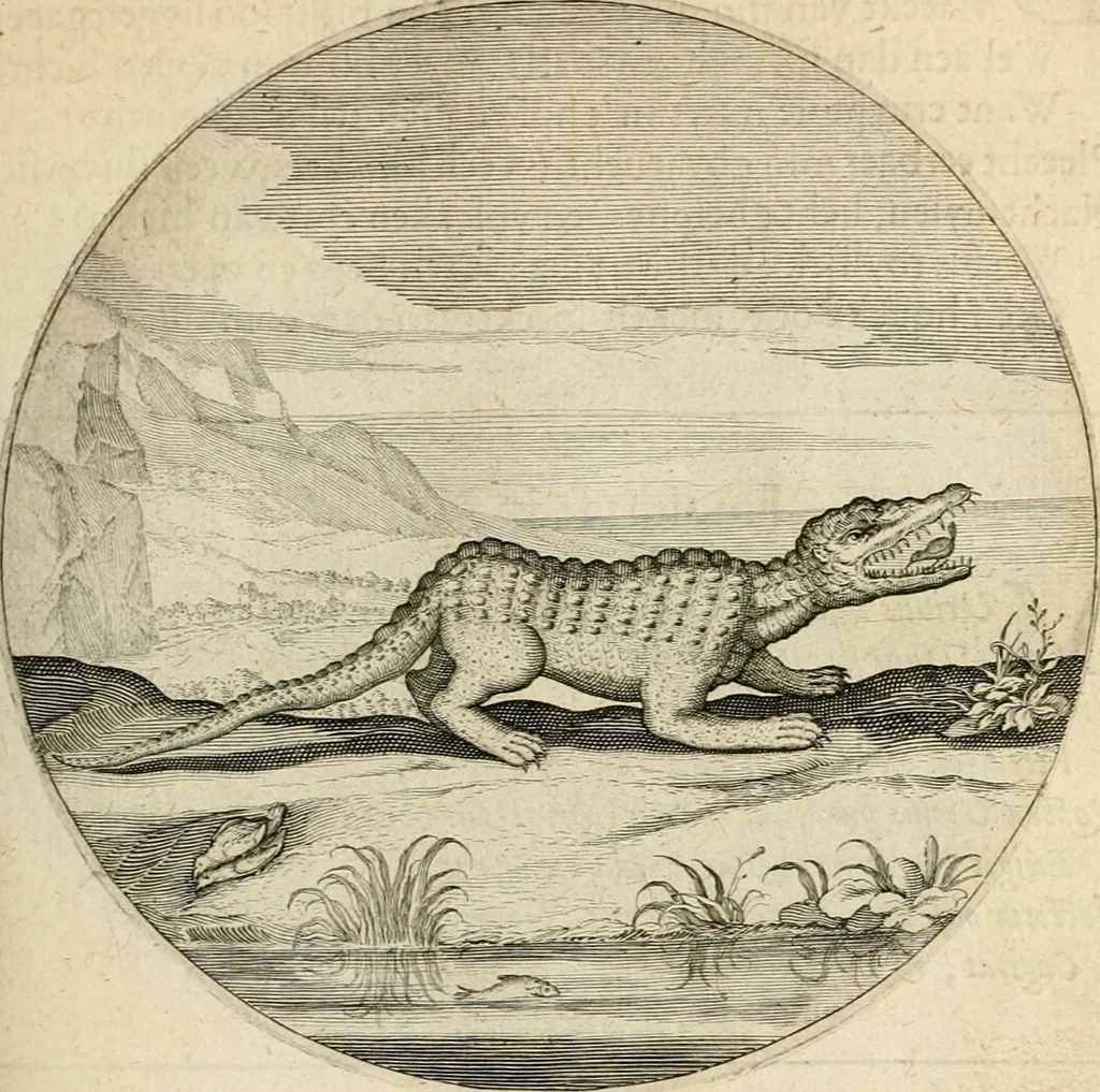 An illustration from Silenus Alcibiadis, sive, Proteus : vitae humanae ideam, emblemate trifariàm variato, oculis subijciens, 1618, leaf 112