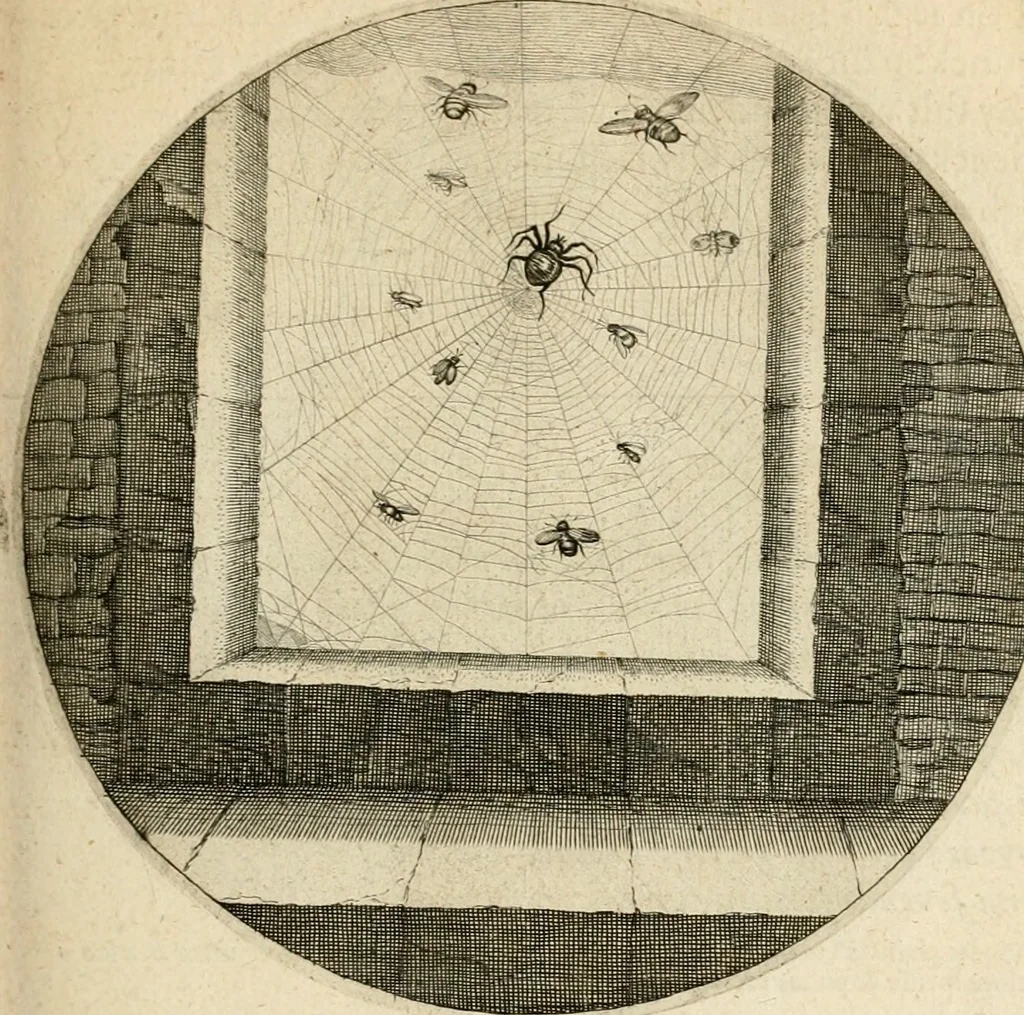 An illustration from Silenus Alcibiadis, sive, Proteus : vitae humanae ideam, emblemate trifariàm variato, oculis subijciens, 1618, leaf 124