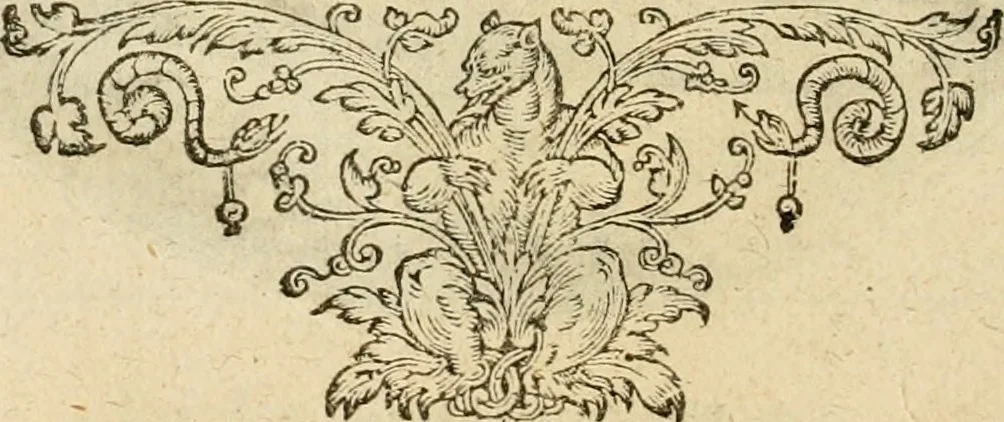 An illustration from Silenus Alcibiadis, sive, Proteus : vitae humanae ideam, emblemate trifariàm variato, oculis subijciens, 1618, leaf 149