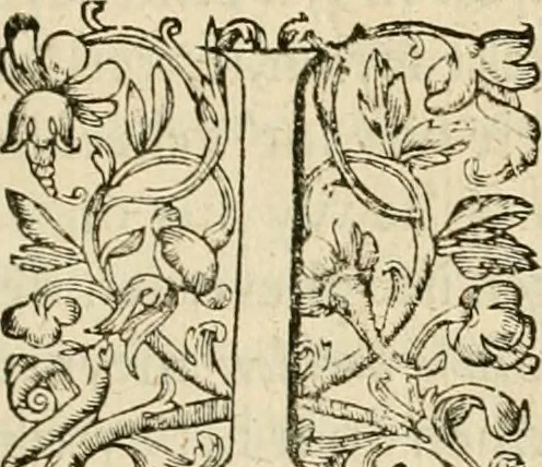 An illustration from Silenus Alcibiadis, sive, Proteus : vitae humanae ideam, emblemate trifariàm variato, oculis subijciens, 1618, leaf 16