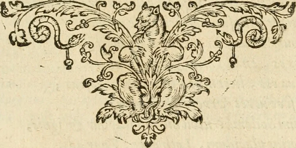 An illustration from Silenus Alcibiadis, sive, Proteus : vitae humanae ideam, emblemate trifariàm variato, oculis subijciens, 1618, leaf 282