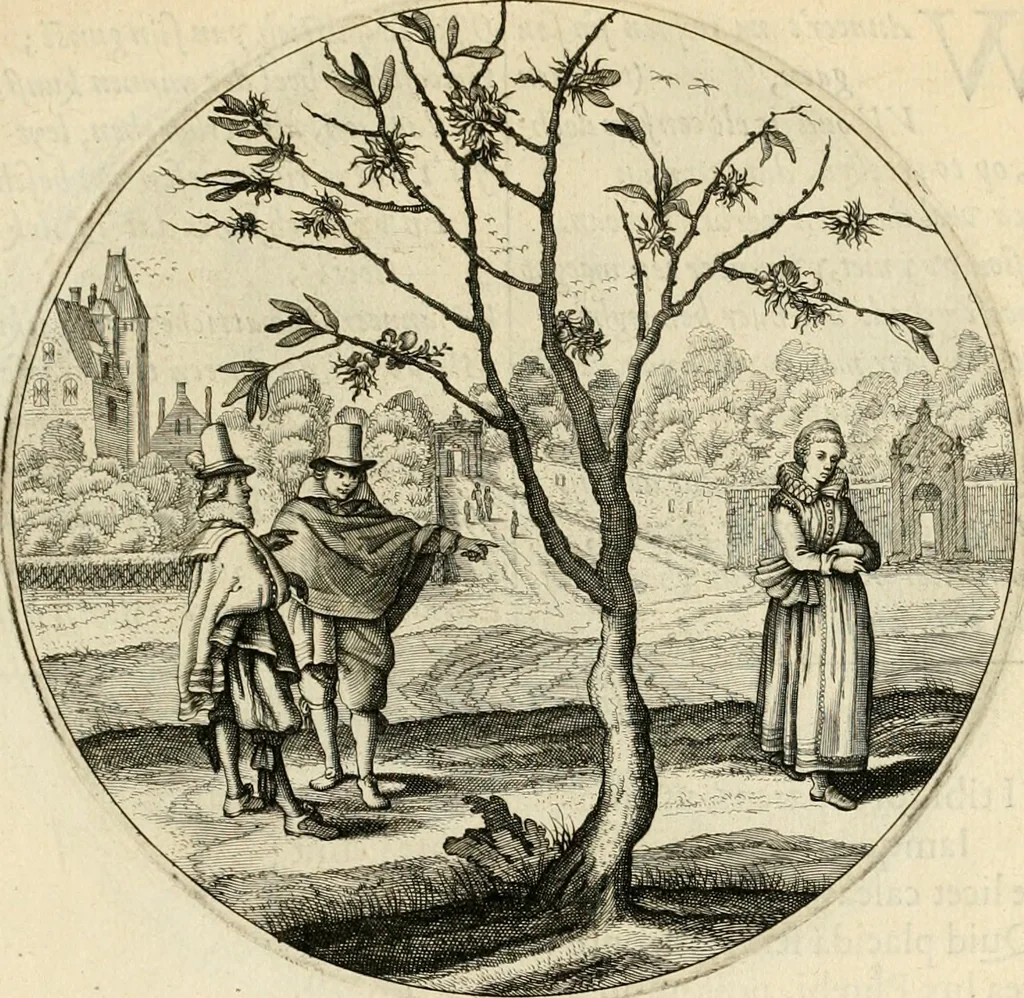 An illustration from Silenus Alcibiadis, sive, Proteus : vitae humanae ideam, emblemate trifariàm variato, oculis subijciens, 1618, leaf 442
