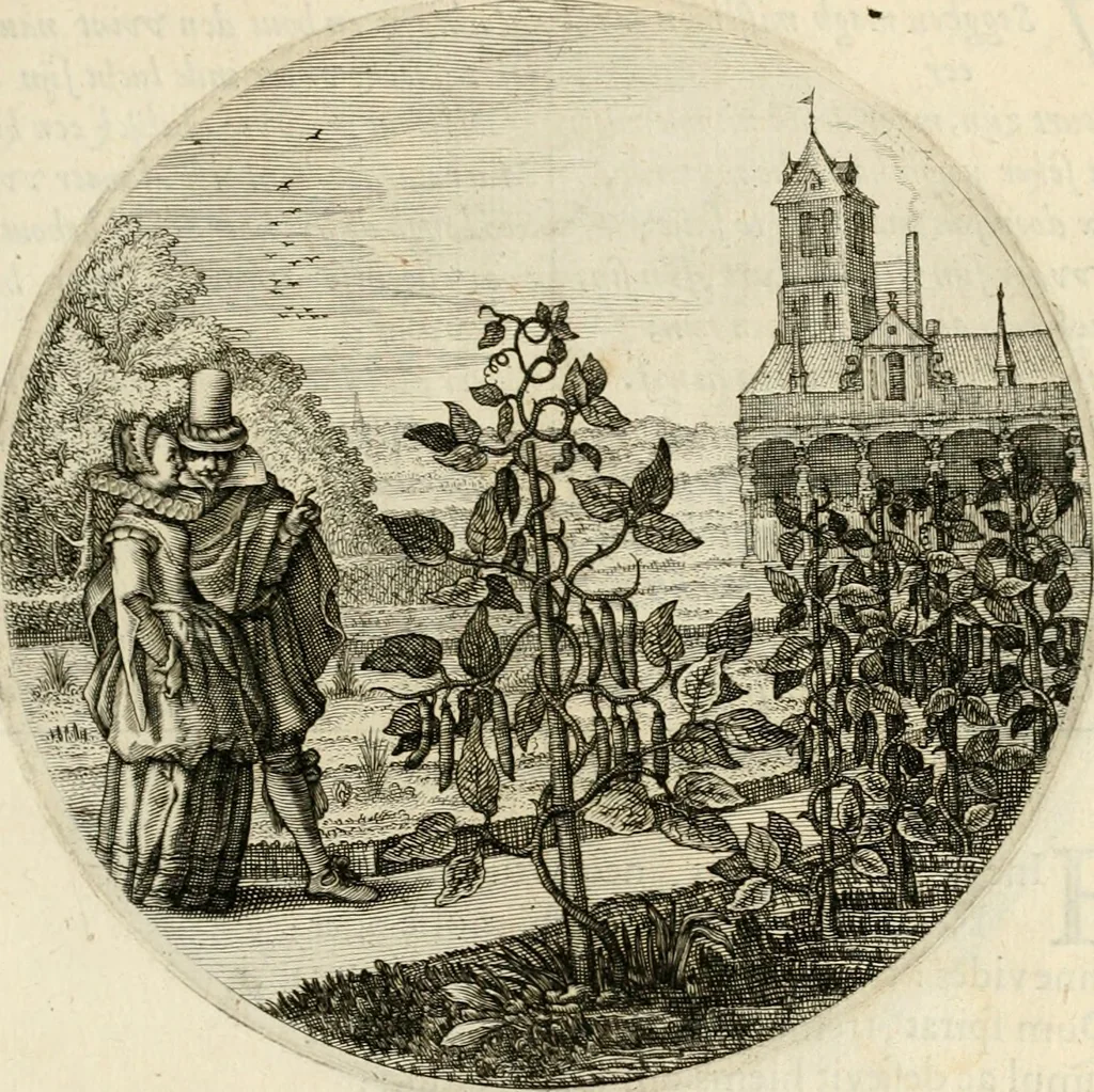 An illustration from Silenus Alcibiadis, sive, Proteus : vitae humanae ideam, emblemate trifariàm variato, oculis subijciens, 1618, leaf 450