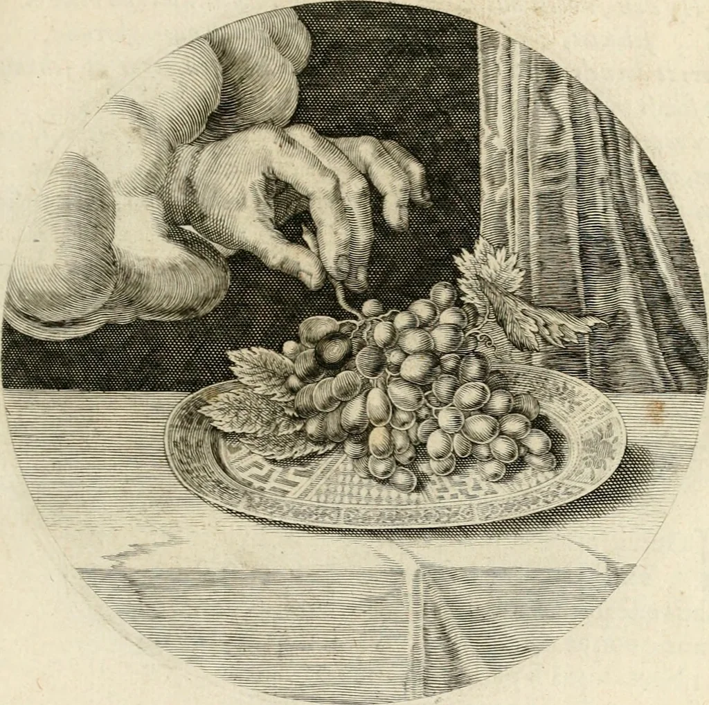 An illustration from Silenus Alcibiadis, sive, Proteus : vitae humanae ideam, emblemate trifariàm variato, oculis subijciens, 1618, leaf 462