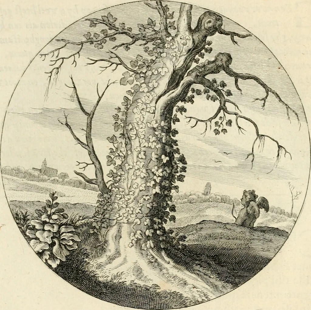 An illustration from Silenus Alcibiadis, sive, Proteus : vitae humanae ideam, emblemate trifariàm variato, oculis subijciens, 1618, leaf 490