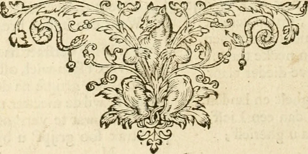 An illustration from Silenus Alcibiadis, sive, Proteus : vitae humanae ideam, emblemate trifariàm variato, oculis subijciens, 1618, leaf 501