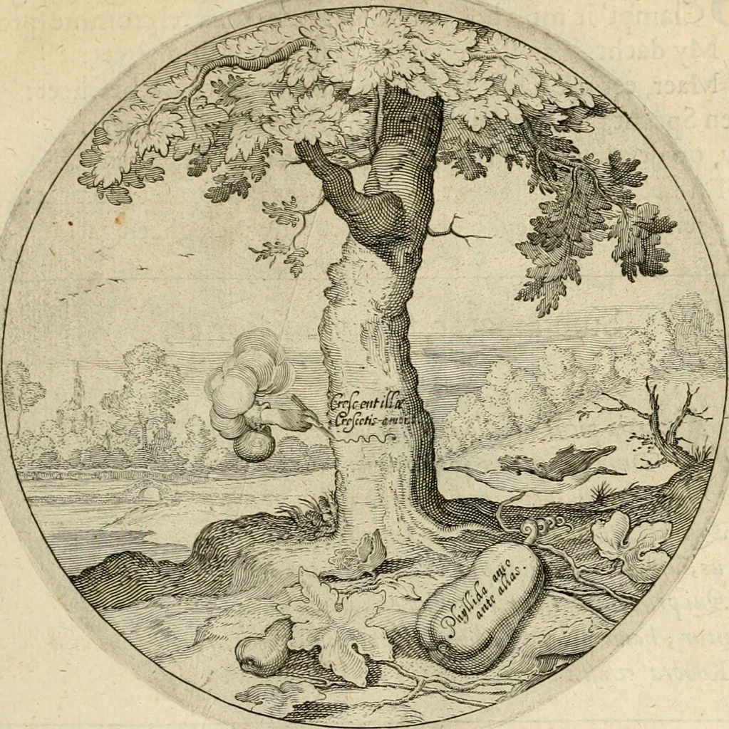 An illustration from Silenus Alcibiadis, sive, Proteus : vitae humanae ideam, emblemate trifariàm variato, oculis subijciens, 1618, leaf 56