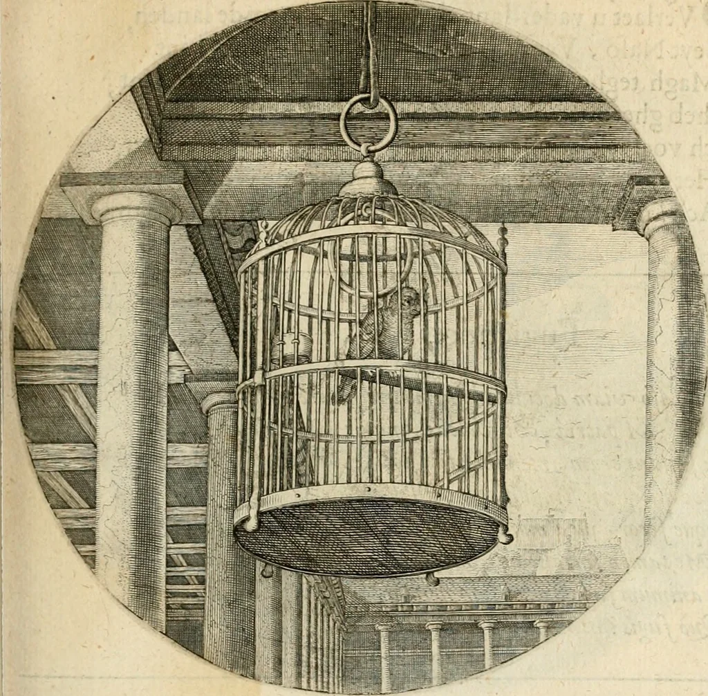 An illustration from Silenus Alcibiadis, sive, Proteus : vitae humanae ideam, emblemate trifariàm variato, oculis subijciens, 1618, leaf 72