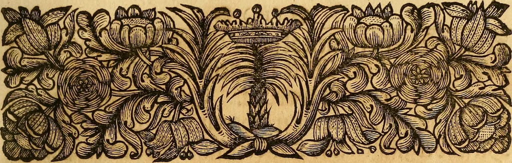 An illustration from Silesia numismatica, oder, Einleitung zu dem schlesischen Müntz-Cabinet : in welchem biss 368 Theils sehr alte rare und schöne, im Lande verfertigte Müntzen durch accurate Kupffer gewiesen, umbständlich erkläret und dabey viele in der schlesischen Historie begangene Fehler deutlich endecket werden, 1711, leaf 12
