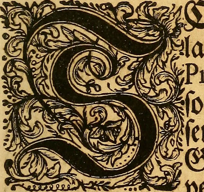An illustration from Silesia numismatica, oder, Einleitung zu dem schlesischen Müntz-Cabinet : in welchem biss 368 Theils sehr alte rare und schöne, im Lande verfertigte Müntzen durch accurate Kupffer gewiesen, umbständlich erkläret und dabey viele in der schlesischen Historie begangene Fehler deutlich endecket werden, 1711, leaf 12