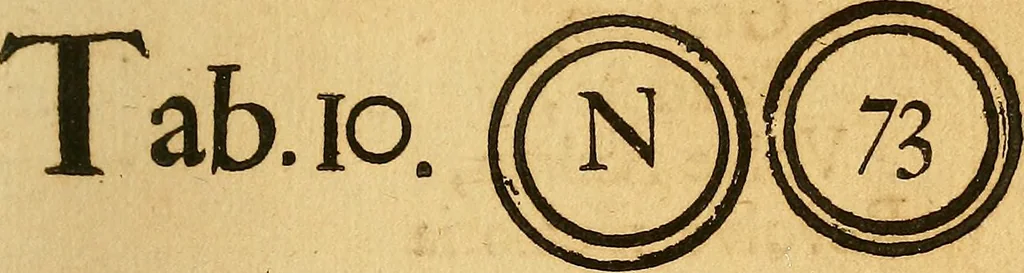 An illustration from Silesia numismatica, oder, Einleitung zu dem schlesischen Müntz-Cabinet : in welchem biss 368 Theils sehr alte rare und schöne, im Lande verfertigte Müntzen durch accurate Kupffer gewiesen, umbständlich erkläret und dabey viele in der schlesischen Historie begangene Fehler deutlich endecket werden, 1711, leaf 398