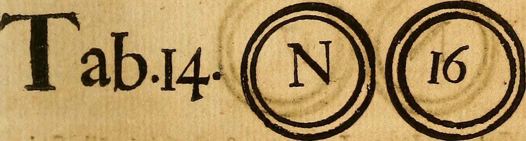 An illustration from Silesia numismatica, oder, Einleitung zu dem schlesischen Müntz-Cabinet : in welchem biss 368 Theils sehr alte rare und schöne, im Lande verfertigte Müntzen durch accurate Kupffer gewiesen, umbständlich erkläret und dabey viele in der schlesischen Historie begangene Fehler deutlich endecket werden, 1711, leaf 462