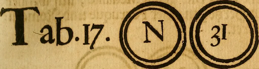 An illustration from Silesia numismatica, oder, Einleitung zu dem schlesischen Müntz-Cabinet : in welchem biss 368 Theils sehr alte rare und schöne, im Lande verfertigte Müntzen durch accurate Kupffer gewiesen, umbständlich erkläret und dabey viele in der schlesischen Historie begangene Fehler deutlich endecket werden, 1711, leaf 490