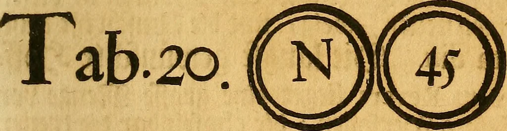 An illustration from Silesia numismatica, oder, Einleitung zu dem schlesischen Müntz-Cabinet : in welchem biss 368 Theils sehr alte rare und schöne, im Lande verfertigte Müntzen durch accurate Kupffer gewiesen, umbständlich erkläret und dabey viele in der schlesischen Historie begangene Fehler deutlich endecket werden, 1711, leaf 510
