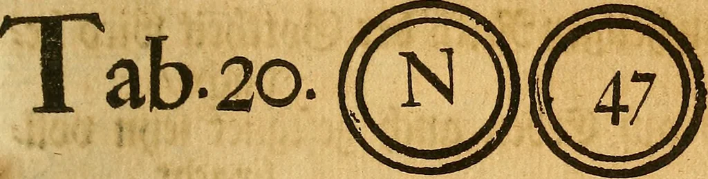 An illustration from Silesia numismatica, oder, Einleitung zu dem schlesischen Müntz-Cabinet : in welchem biss 368 Theils sehr alte rare und schöne, im Lande verfertigte Müntzen durch accurate Kupffer gewiesen, umbständlich erkläret und dabey viele in der schlesischen Historie begangene Fehler deutlich endecket werden, 1711, leaf 512
