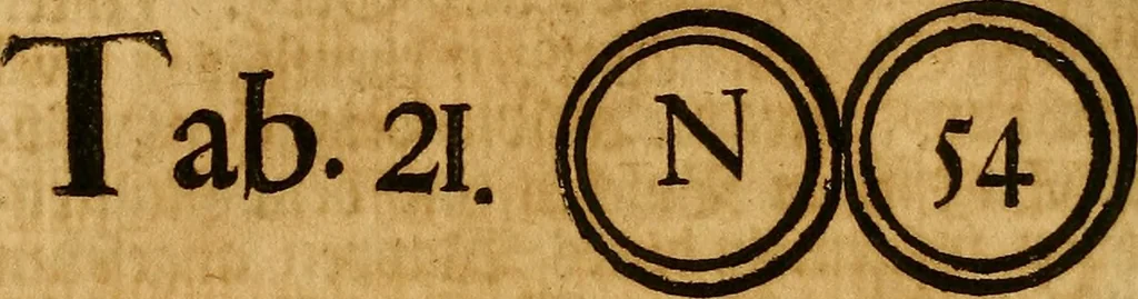 An illustration from Silesia numismatica, oder, Einleitung zu dem schlesischen Müntz-Cabinet : in welchem biss 368 Theils sehr alte rare und schöne, im Lande verfertigte Müntzen durch accurate Kupffer gewiesen, umbständlich erkläret und dabey viele in der schlesischen Historie begangene Fehler deutlich endecket werden, 1711, leaf 523