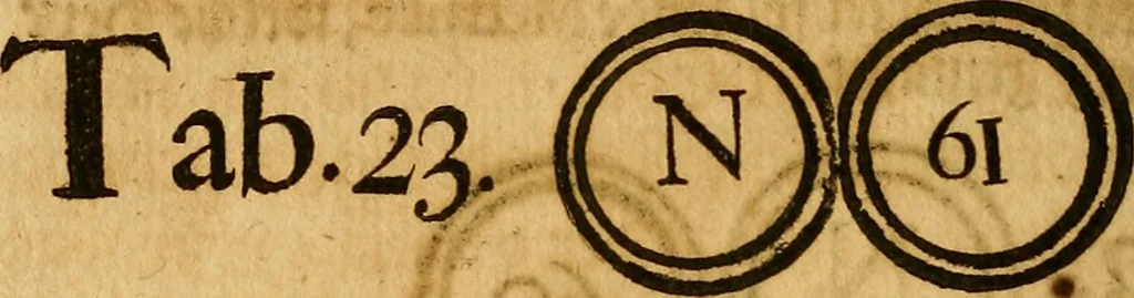An illustration from Silesia numismatica, oder, Einleitung zu dem schlesischen Müntz-Cabinet : in welchem biss 368 Theils sehr alte rare und schöne, im Lande verfertigte Müntzen durch accurate Kupffer gewiesen, umbständlich erkläret und dabey viele in der schlesischen Historie begangene Fehler deutlich endecket werden, 1711, leaf 533