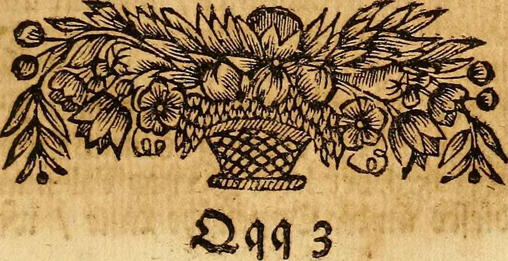 An illustration from Silesia numismatica, oder, Einleitung zu dem schlesischen Müntz-Cabinet : in welchem biss 368 Theils sehr alte rare und schöne, im Lande verfertigte Müntzen durch accurate Kupffer gewiesen, umbständlich erkläret und dabey viele in der schlesischen Historie begangene Fehler deutlich endecket werden, 1711, leaf 544