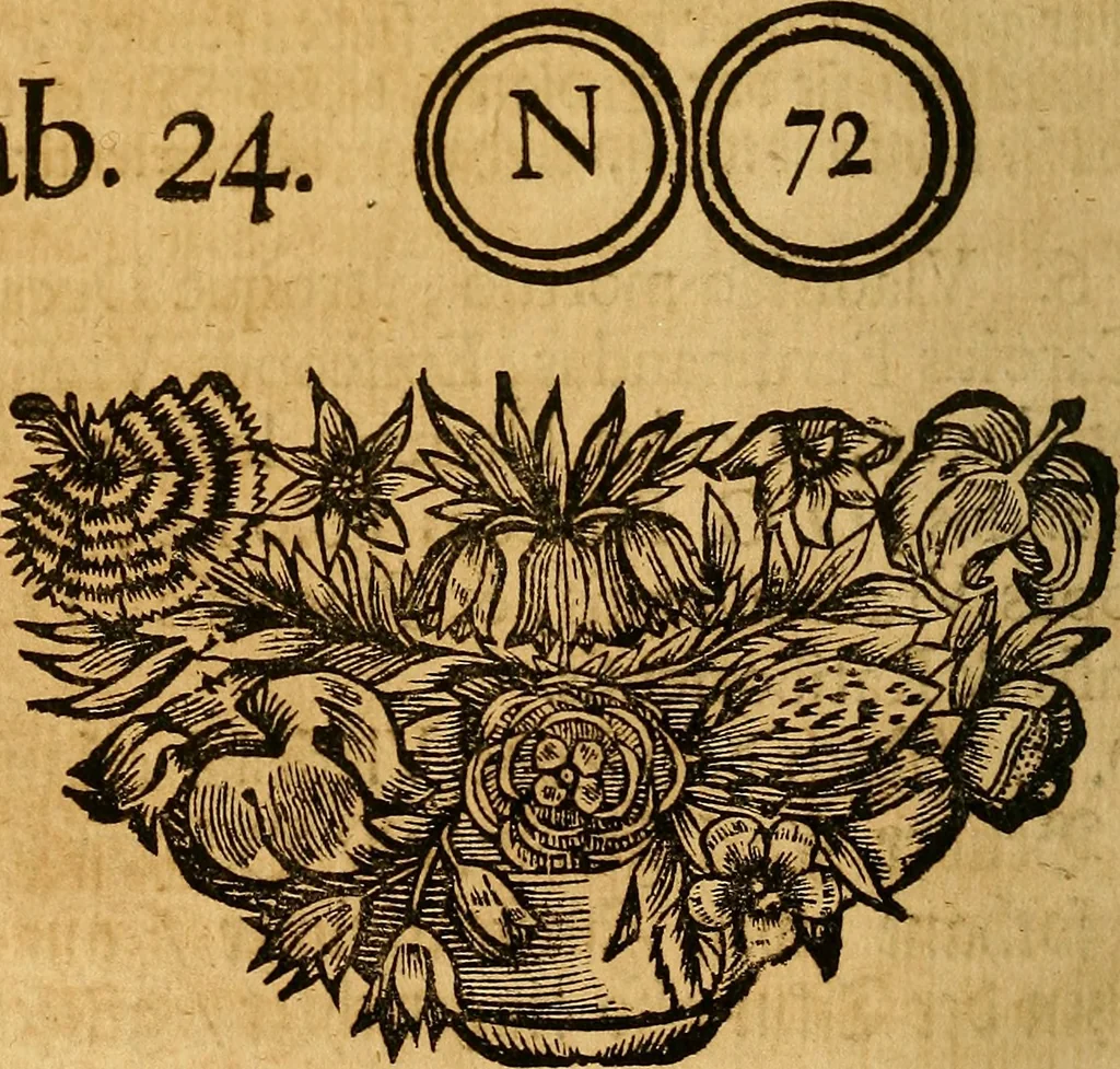 An illustration from Silesia numismatica, oder, Einleitung zu dem schlesischen Müntz-Cabinet : in welchem biss 368 Theils sehr alte rare und schöne, im Lande verfertigte Müntzen durch accurate Kupffer gewiesen, umbständlich erkläret und dabey viele in der schlesischen Historie begangene Fehler deutlich endecket werden, 1711, leaf 565