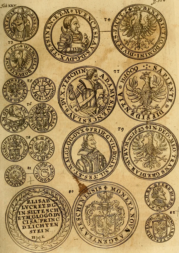 An illustration from Silesia numismatica, oder, Einleitung zu dem schlesischen Müntz-Cabinet : in welchem biss 368 Theils sehr alte rare und schöne, im Lande verfertigte Müntzen durch accurate Kupffer gewiesen, umbständlich erkläret und dabey viele in der schlesischen Historie begangene Fehler deutlich endecket werden, 1711, leaf 568