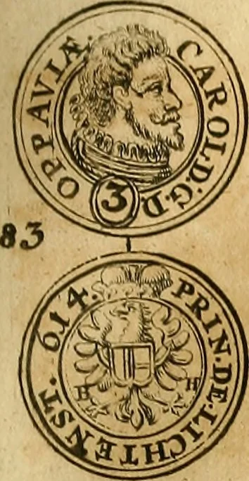 An illustration from Silesia numismatica, oder, Einleitung zu dem schlesischen Müntz-Cabinet : in welchem biss 368 Theils sehr alte rare und schöne, im Lande verfertigte Müntzen durch accurate Kupffer gewiesen, umbständlich erkläret und dabey viele in der schlesischen Historie begangene Fehler deutlich endecket werden, 1711, leaf 602