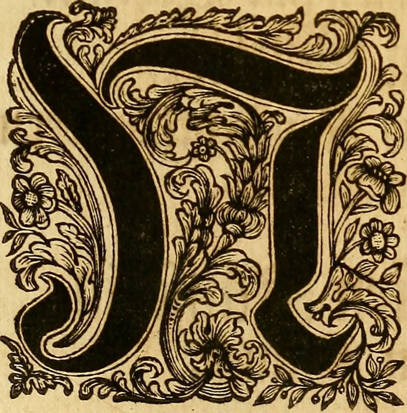 An illustration from Silesia numismatica, oder, Einleitung zu dem schlesischen Müntz-Cabinet : in welchem biss 368 Theils sehr alte rare und schöne, im Lande verfertigte Müntzen durch accurate Kupffer gewiesen, umbständlich erkläret und dabey viele in der schlesischen Historie begangene Fehler deutlich endecket werden, 1711, leaf 7
