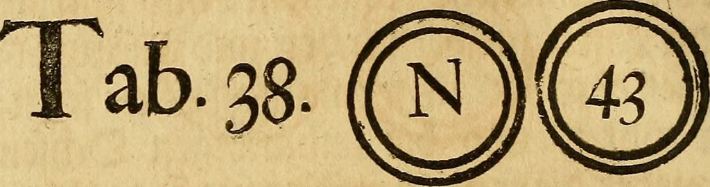 An illustration from Silesia numismatica, oder, Einleitung zu dem schlesischen Müntz-Cabinet : in welchem biss 368 Theils sehr alte rare und schöne, im Lande verfertigte Müntzen durch accurate Kupffer gewiesen, umbständlich erkläret und dabey viele in der schlesischen Historie begangene Fehler deutlich endecket werden, 1711, leaf 885