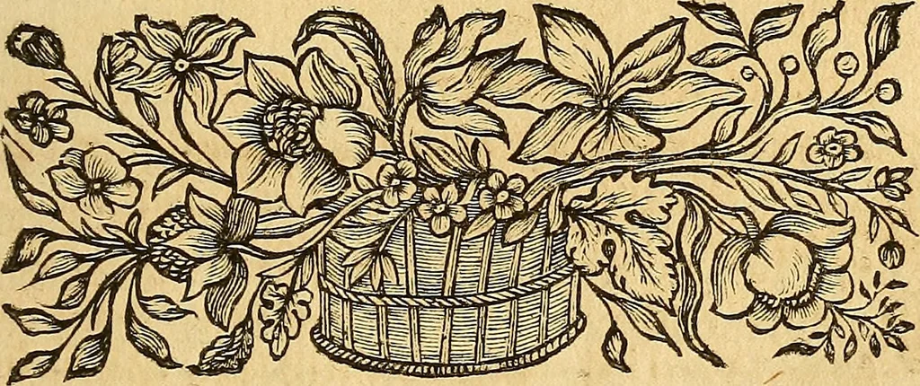 An illustration from Silesia numismatica, oder, Einleitung zu dem schlesischen Müntz-Cabinet : in welchem biss 368 Theils sehr alte rare und schöne, im Lande verfertigte Müntzen durch accurate Kupffer gewiesen, umbständlich erkläret und dabey viele in der schlesischen Historie begangene Fehler deutlich endecket werden, 1711, leaf 886