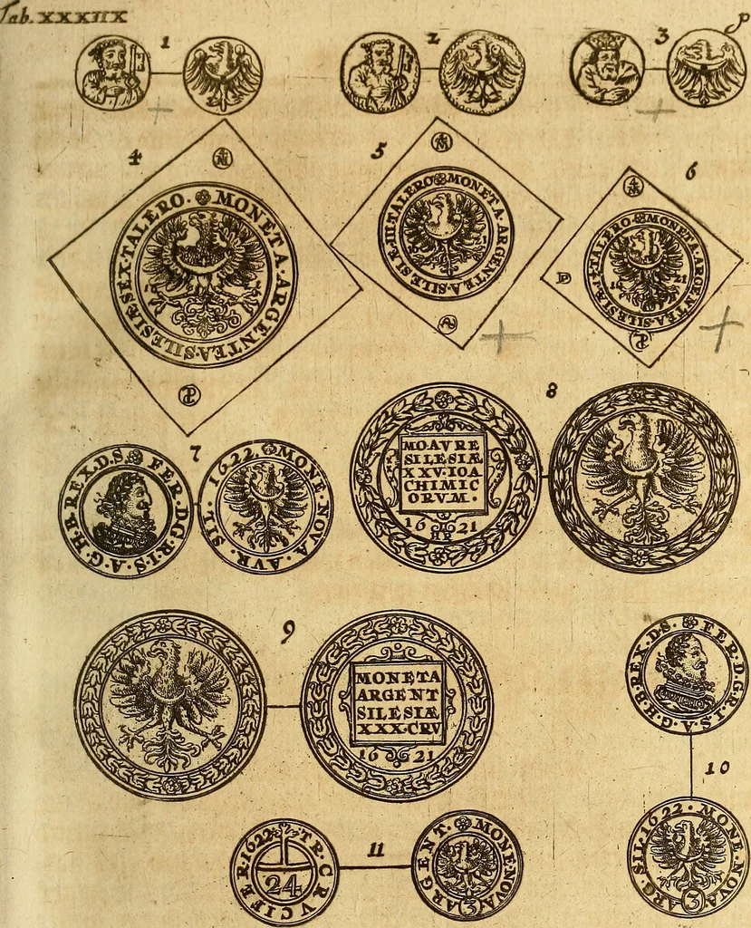 An illustration from Silesia numismatica, oder, Einleitung zu dem schlesischen Müntz-Cabinet : in welchem biss 368 Theils sehr alte rare und schöne, im Lande verfertigte Müntzen durch accurate Kupffer gewiesen, umbständlich erkläret und dabey viele in der schlesischen Historie begangene Fehler deutlich endecket werden, 1711, leaf 892