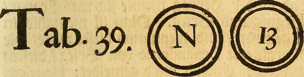 An illustration from Silesia numismatica, oder, Einleitung zu dem schlesischen Müntz-Cabinet : in welchem biss 368 Theils sehr alte rare und schöne, im Lande verfertigte Müntzen durch accurate Kupffer gewiesen, umbständlich erkläret und dabey viele in der schlesischen Historie begangene Fehler deutlich endecket werden, 1711, leaf 916