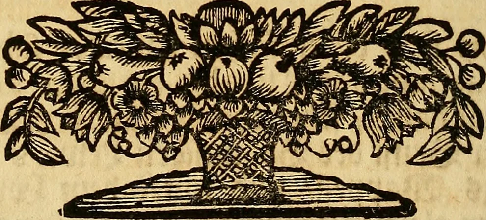 An illustration from Silesia numismatica, oder, Einleitung zu dem schlesischen Müntz-Cabinet : in welchem biss 368 Theils sehr alte rare und schöne, im Lande verfertigte Müntzen durch accurate Kupffer gewiesen, umbständlich erkläret und dabey viele in der schlesischen Historie begangene Fehler deutlich endecket werden, 1711, leaf 939