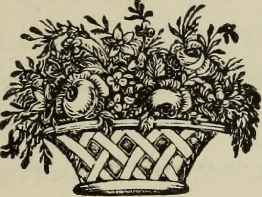 An illustration from The silk industry in America. A history: prepared for the Centennial Exposition, 1876, leaf 24