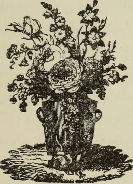 An illustration from The silk industry in America. A history: prepared for the Centennial Exposition, 1876, leaf 42