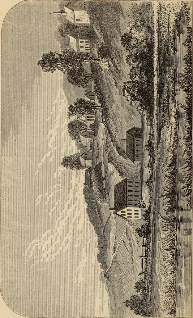 An illustration from The silk industry in America. A history: prepared for the Centennial Exposition, 1876, leaf 61