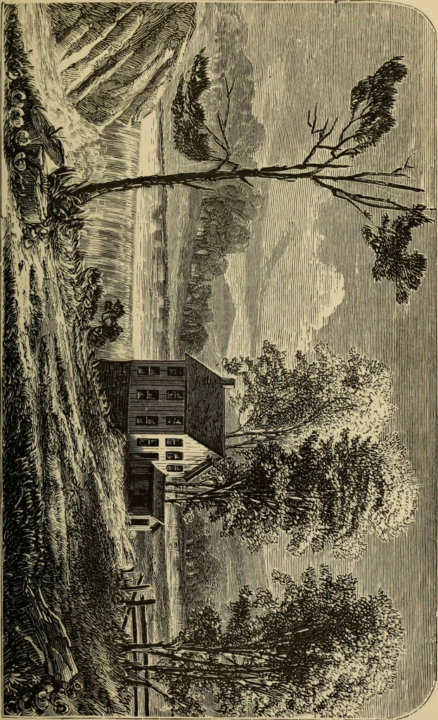 An illustration from The silk industry in America. A history: prepared for the Centennial Exposition, 1876, leaf 64